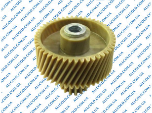 Шестерня для м'ясорубки Dex D52/22 H49mm з мет. втулкою (G051)